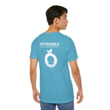 Affordable Pool & Spa Services Logo T‑Shirt Back Logo Only